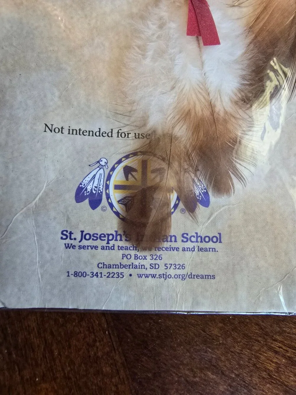 St. Joseph’s Indian School Decorative Dreamcatcher - Cultural Educational Keepsa